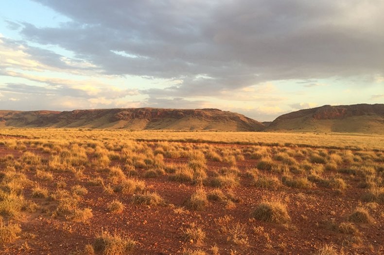 Conservation in the Pilbara