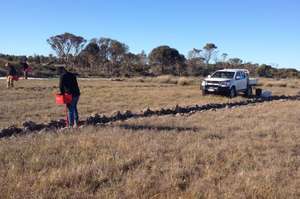 Creating habitat in Gondwana Link