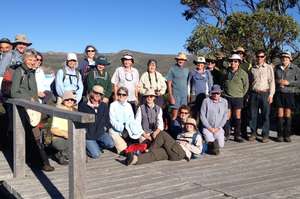 Volunteers helping survey for damaging weeds