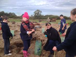 Tree planting for all ages