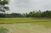South-Asia Flood Relief - Urgent Need