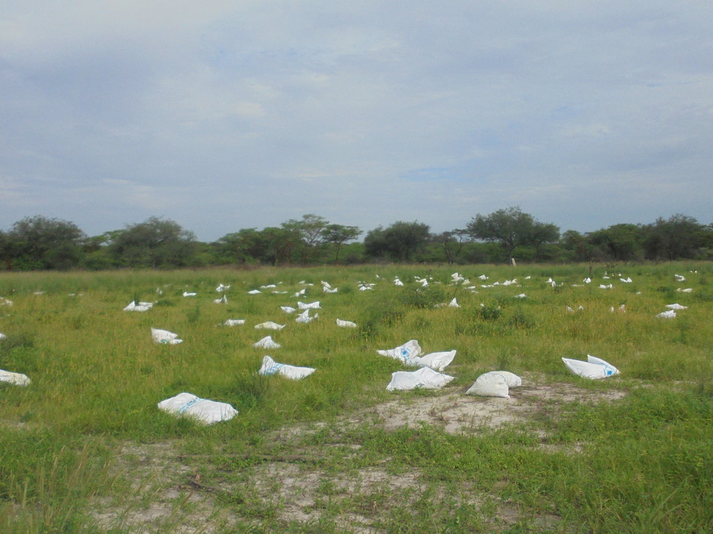 Crisis Relief Fund for South Sudan