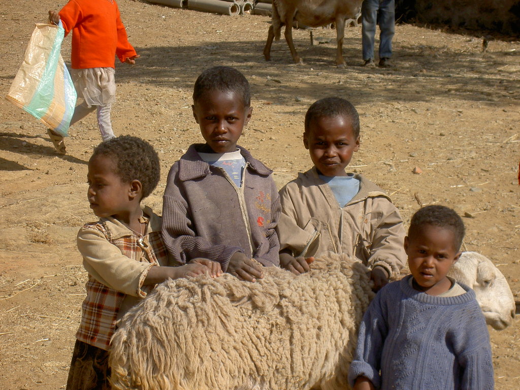 FoodSecurity for 523 malnourished children,Eritrea