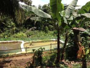 Fishpond already operative