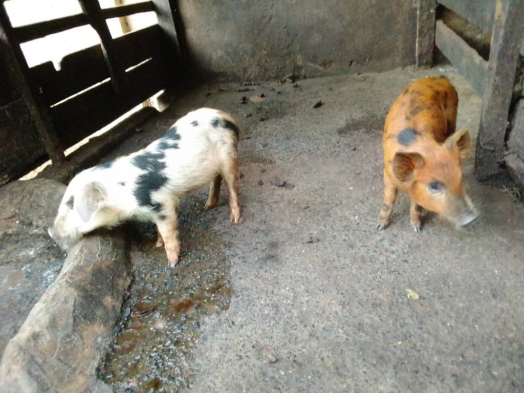 Build a future for children in a conflict zone