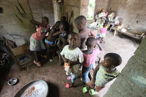 Working together to feed all