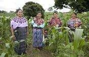 Supporting 200 Guatemalan Businesswomen