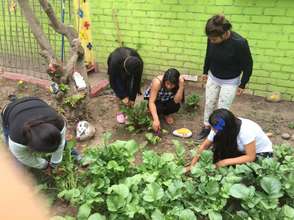 Girls harvesting goods