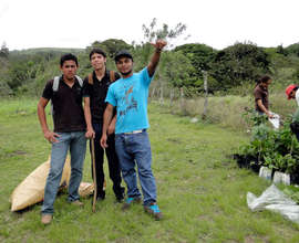 Students care for trees 6 months before planting
