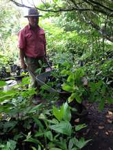 Nursery like the K4OW volunteers will create