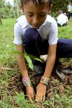 Planting Hands in Delicias de Upala