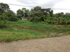 Planting Area  (Town Side)