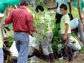 Third step, plant trees in nursery at school