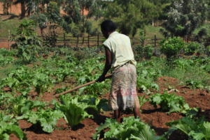 Micro-garden at St. Andre