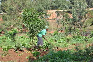 A women working in a micro-garden we set up