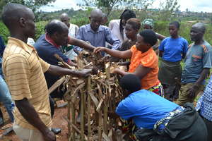 Micro-Agriculture Training
