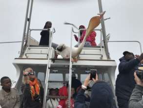 On a boat trip