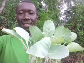 Francis Transplanting Cabbage