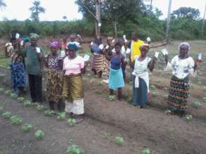 Receiving Seeds