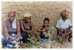 Women During Harvest