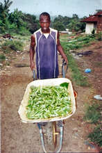 Gardening is a nutrition solution during crisis.