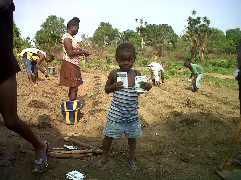 After Ebola, Gardens Help Rebuild Lives