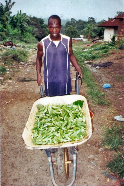 After Ebola, Gardens Help Rebuild Lives
