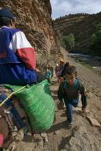 Children commute to school.