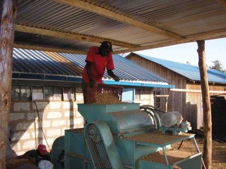 Climate-smart 3000 women, youth economic strategy