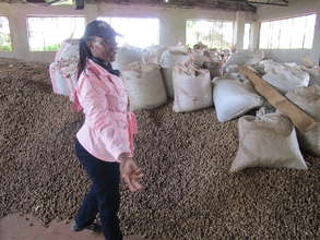 Seed Collection Centre
