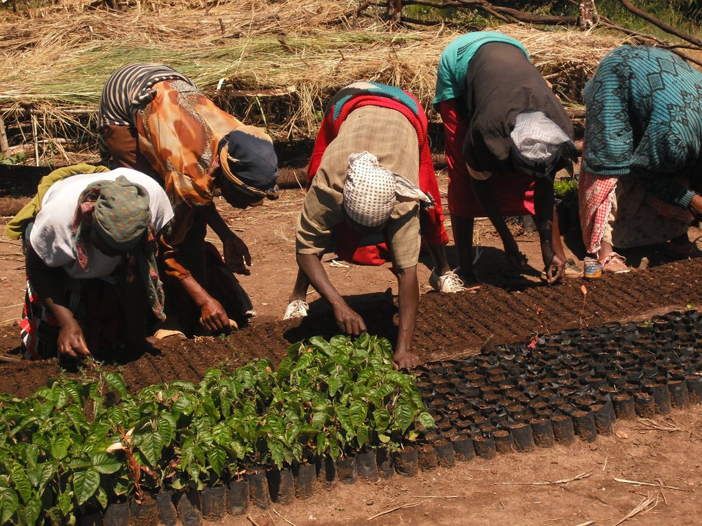 Climate-smart 3000 women, youth economic strategy