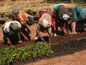 Climate-smart 3000 women, youth economic strategy