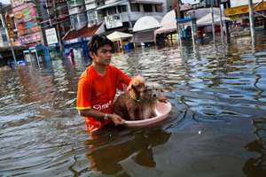 rescuing dog in flood water