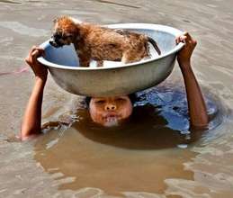 Puppy on child's head in flood water