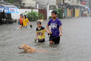 dog with kids seeking safety in flood water