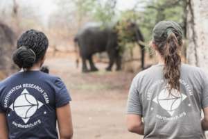 Earthwatch volunteers observe elephants up close