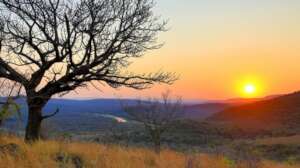 A gorgeous sunset over the African bush