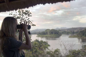 A volunteer observes a watering hole
