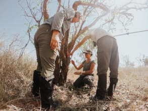 Earthwatch volunteers install a camera trap