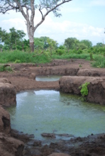 Watering hole