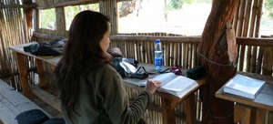 Identifying and counting animals at a waterhole.