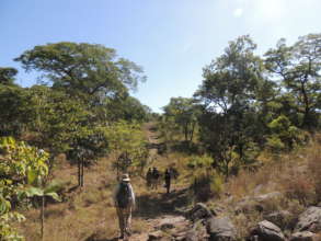 Volunteers heading to a research site