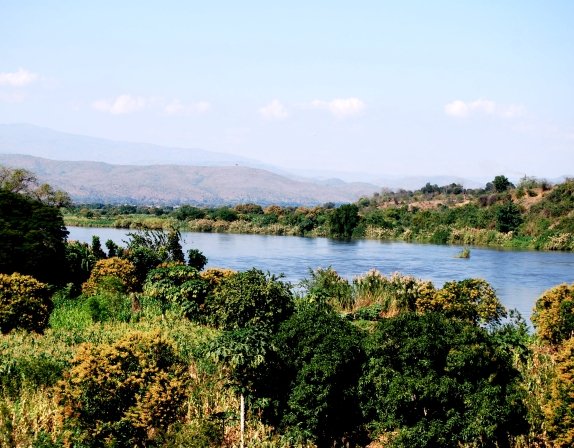 Protecting Elephants and Rhinos in Malawi