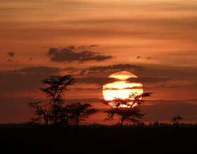 Sunset Over Majete Wildlife Reserve
