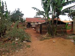 neighborhood around the Library