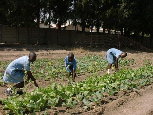 Send Rural Girls to School in Zimbabwe
