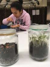 Building a biodom at the Autumn Holiday Camp
