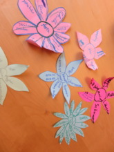 Characteristics depicted on flowers