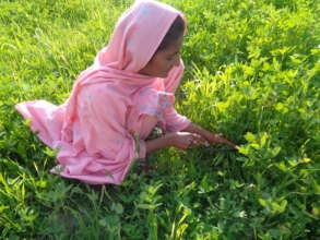 Rabbia photo