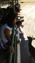 Parental Skills Workshop, recreational trip.